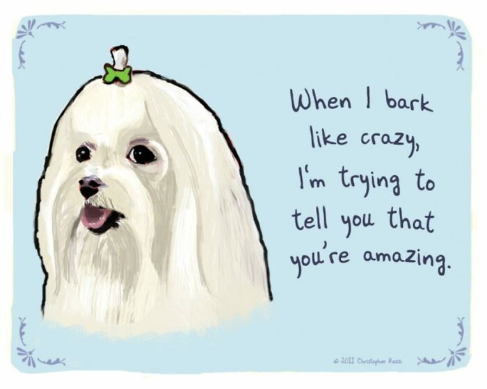 Artist Illustrates Honest Confessions From Pets, And Here Are The 30 Best Ones