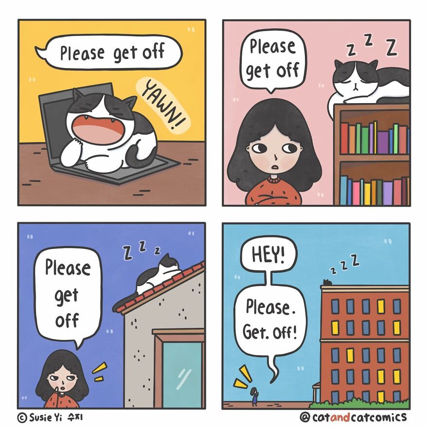 I Document My Life With A Cat In These 40 Comics I Document My Life With A Cat In These 40 Comics