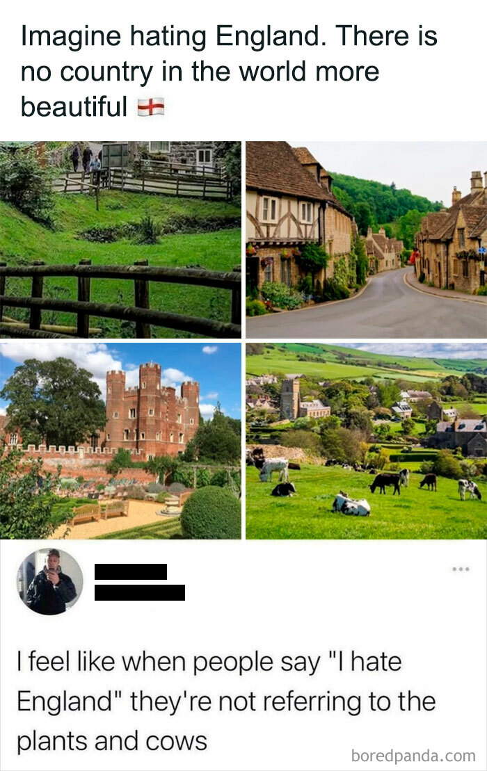 50 Pictures From The Online “Gallery Of Inexplicable Stupidity” 50 Pictures From The Online “Gallery Of Inexplicable Stupidity”