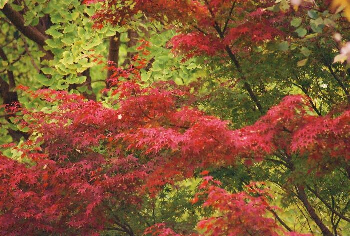 Hey Pandas, Post A Picture From The Most Beautiful Place You Have Been To (Closed) Hey Pandas, Post A Picture From The Most Beautiful Place You Have Been To (Closed)