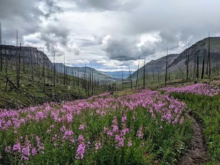 Hey Pandas, Post A Picture From The Most Beautiful Place You Have Been To (Closed) Hey Pandas, Post A Picture From The Most Beautiful Place You Have Been To (Closed)