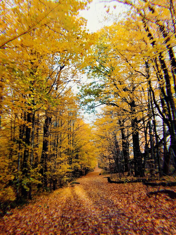 Hey Pandas, Post A Picture From The Most Beautiful Place You Have Been To (Closed) Hey Pandas, Post A Picture From The Most Beautiful Place You Have Been To (Closed)