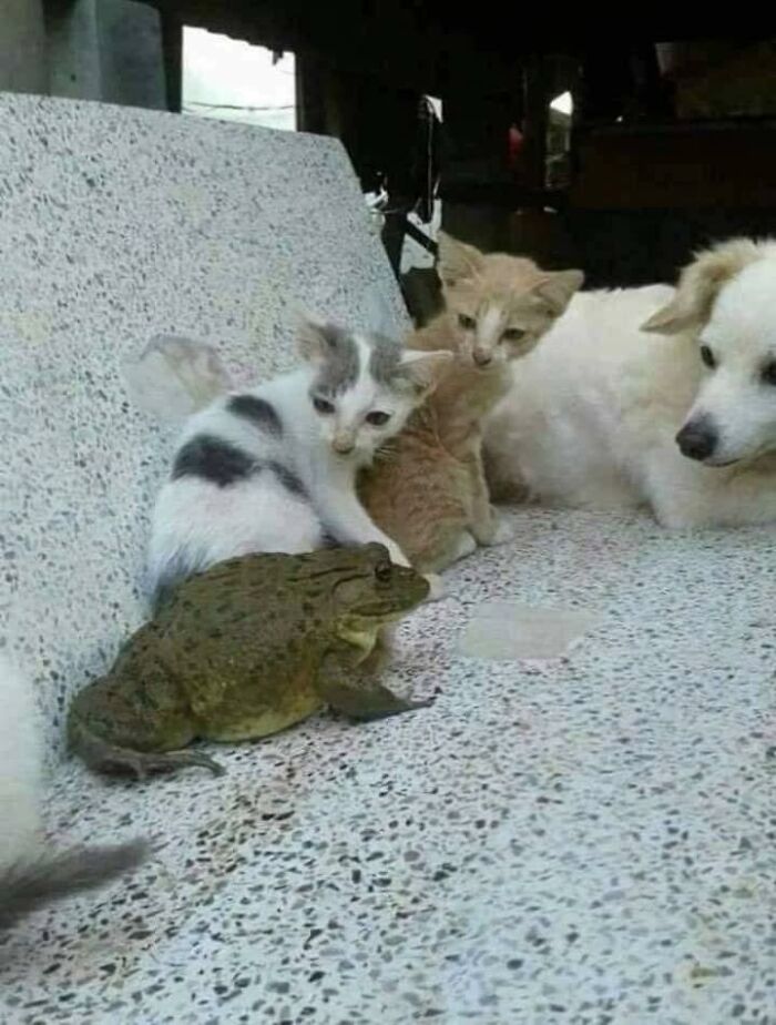 This Facebook Group Is Dedicated To Unaesthetic Images, Here Are 50 Of The Worst Ones (New Pics) This Facebook Group Is Dedicated To Unaesthetic Images, Here Are 50 Of The Worst Ones (New Pics)