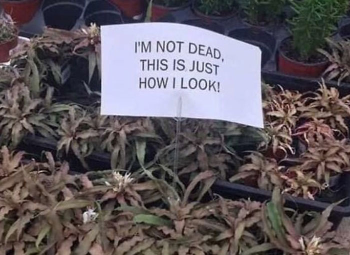 This Facebook Group Is Dedicated To Unaesthetic Images, Here Are 50 Of The Worst Ones (New Pics) This Facebook Group Is Dedicated To Unaesthetic Images, Here Are 50 Of The Worst Ones (New Pics)