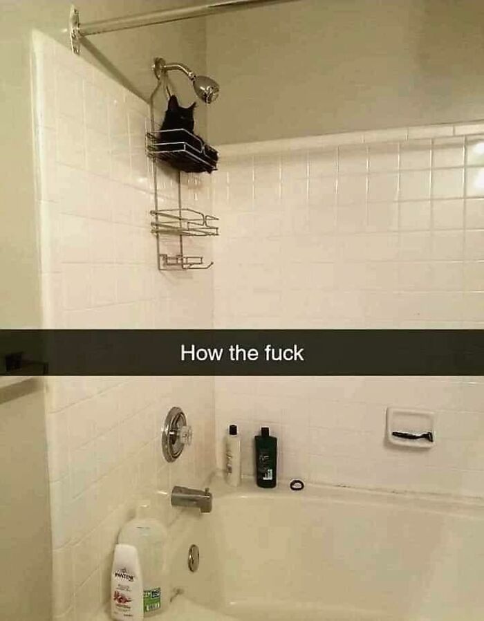 This Facebook Group Is Dedicated To Unaesthetic Images, Here Are 50 Of The Worst Ones (New Pics) This Facebook Group Is Dedicated To Unaesthetic Images, Here Are 50 Of The Worst Ones (New Pics)