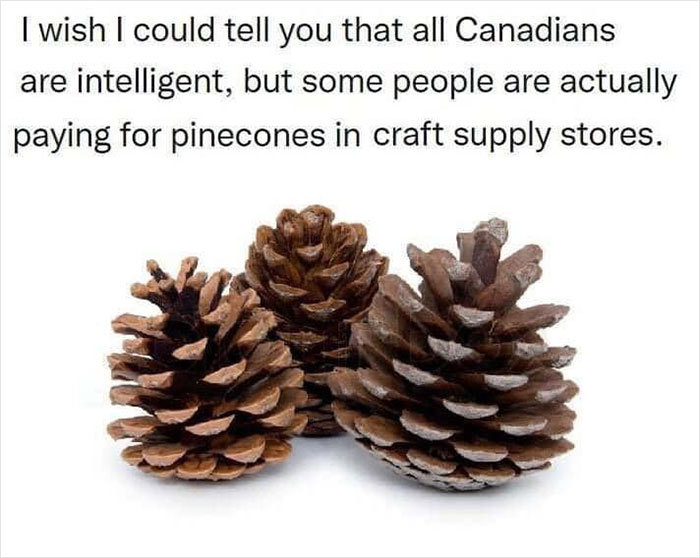 35 Canadian Memes That Are Making People Crack Up At The Country’s Stereotypes 35 Canadian Memes That Are Making People Crack Up At The Country’s Stereotypes