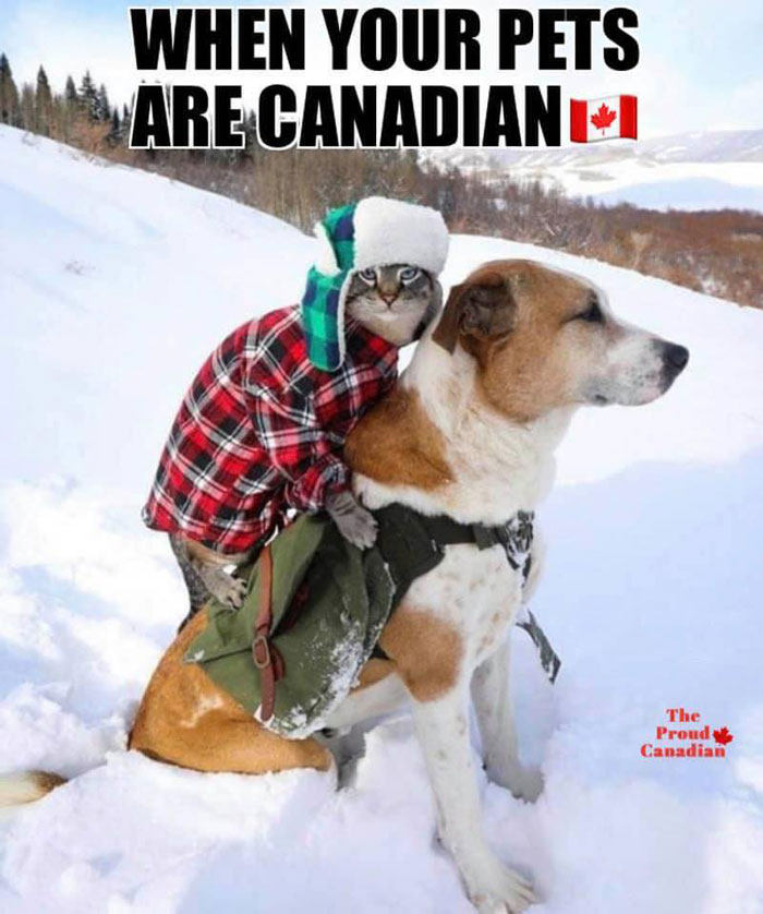 35 Canadian Memes That Are Making People Crack Up At The Country’s Stereotypes 35 Canadian Memes That Are Making People Crack Up At The Country’s Stereotypes
