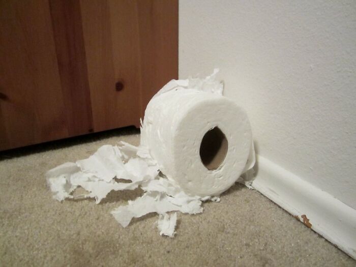 30 Times People Were So Cheap That Folks In This Online Community Thought They Went Too Far 30 Times People Were So Cheap That Folks In This Online Community Thought They Went Too Far