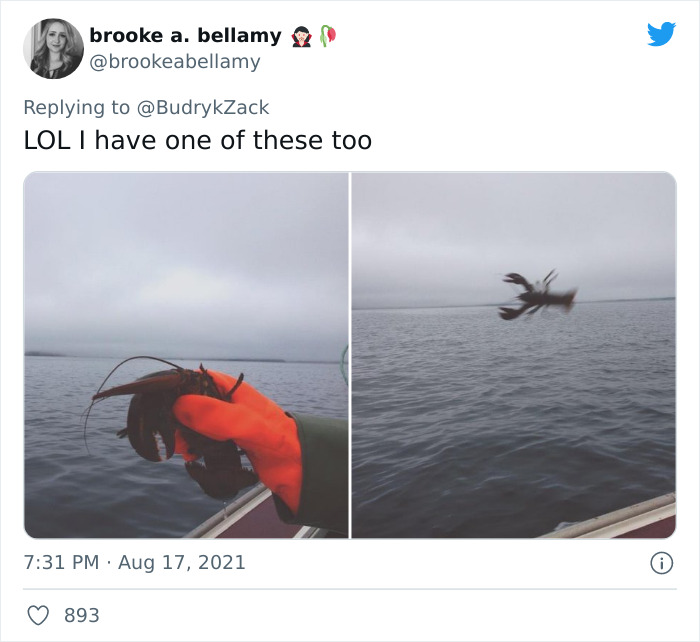 101 Y.O. Woman Is Photographed Throwing Away A Lobster Because It’s Too Small For Harvesting, And People Online Start Memeing It (30 Memes) 101 Y.O. Woman Is Photographed Throwing Away A Lobster Because It’s Too Small For Harvesting, And People Online Start Memeing It (30 Memes)