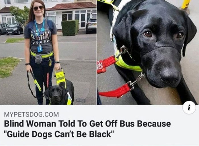 50 Times People Didn’t Realize They Were Being Racist, As Shared By Folks Online 50 Times People Didn’t Realize They Were Being Racist, As Shared By Folks Online