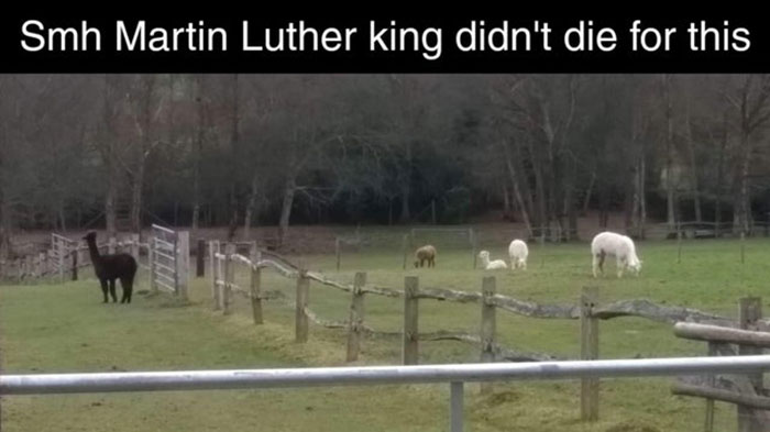 50 Times People Didn’t Realize They Were Being Racist, As Shared By Folks Online 50 Times People Didn’t Realize They Were Being Racist, As Shared By Folks Online