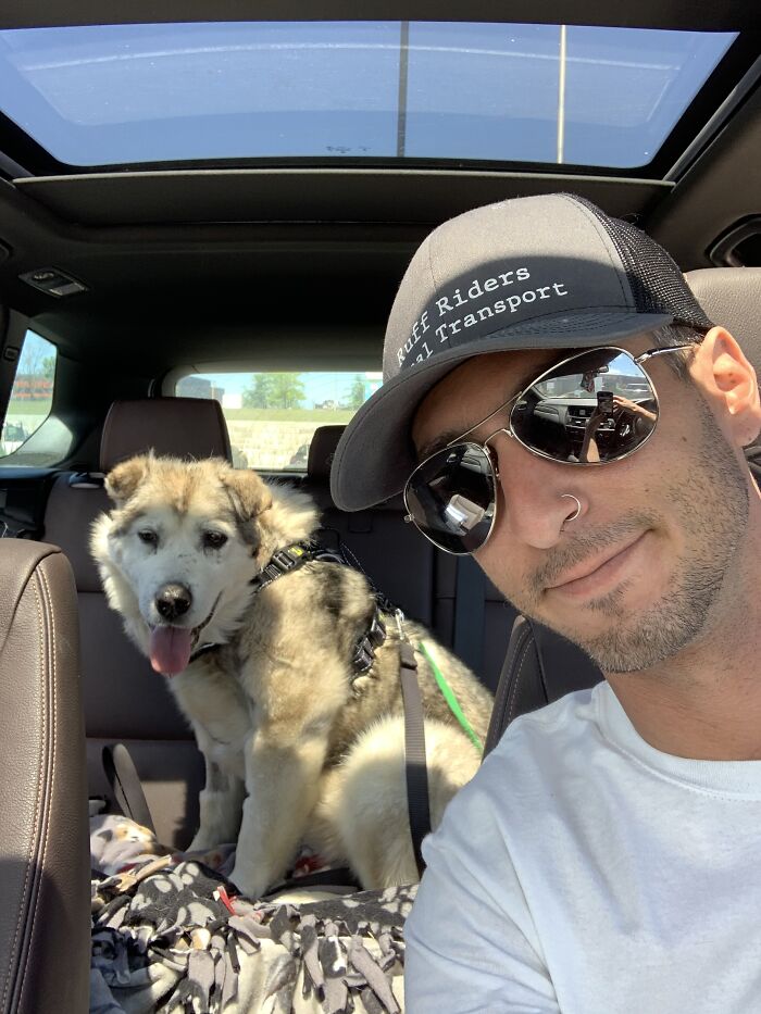 Man Adopts Abandoned Senior Husky And Sheds Light On Important Issues Man Adopts Abandoned Senior Husky And Sheds Light On Important Issues