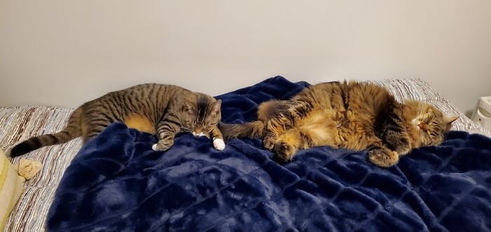 Hey Pandas, Post The Last Photo On Your Camera Roll (Closed) Hey Pandas, Post The Last Photo On Your Camera Roll (Closed)