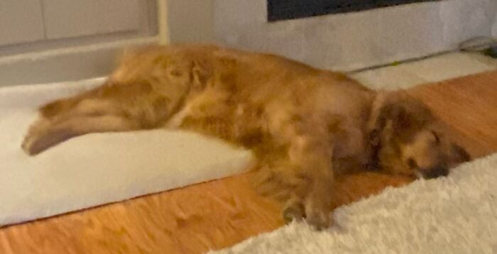 Hey Pandas, Post The Last Photo On Your Camera Roll (Closed) Hey Pandas, Post The Last Photo On Your Camera Roll (Closed)