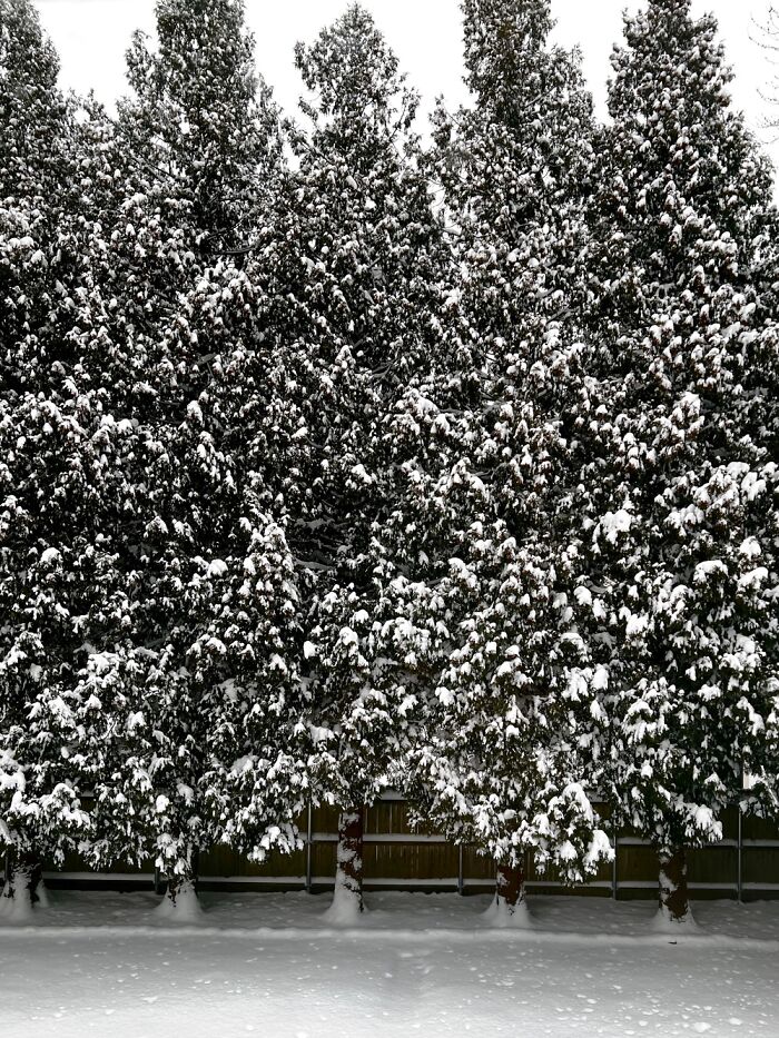 Hey Pandas, Post The Last Photo On Your Camera Roll (Closed) Hey Pandas, Post The Last Photo On Your Camera Roll (Closed)