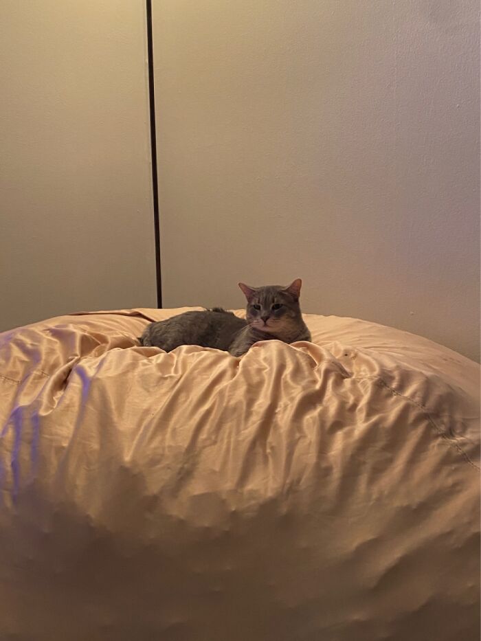 Hey Pandas, Post The Last Photo On Your Camera Roll (Closed) Hey Pandas, Post The Last Photo On Your Camera Roll (Closed)