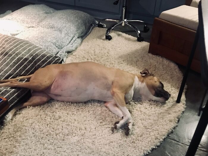 Hey Pandas, Post The Last Photo On Your Camera Roll (Closed) Hey Pandas, Post The Last Photo On Your Camera Roll (Closed)