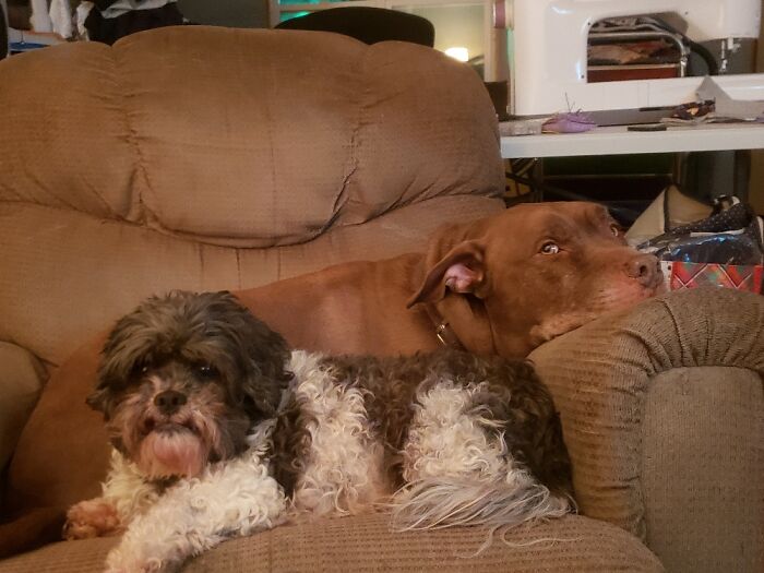 Hey Pandas, Post The Last Photo On Your Camera Roll (Closed) Hey Pandas, Post The Last Photo On Your Camera Roll (Closed)