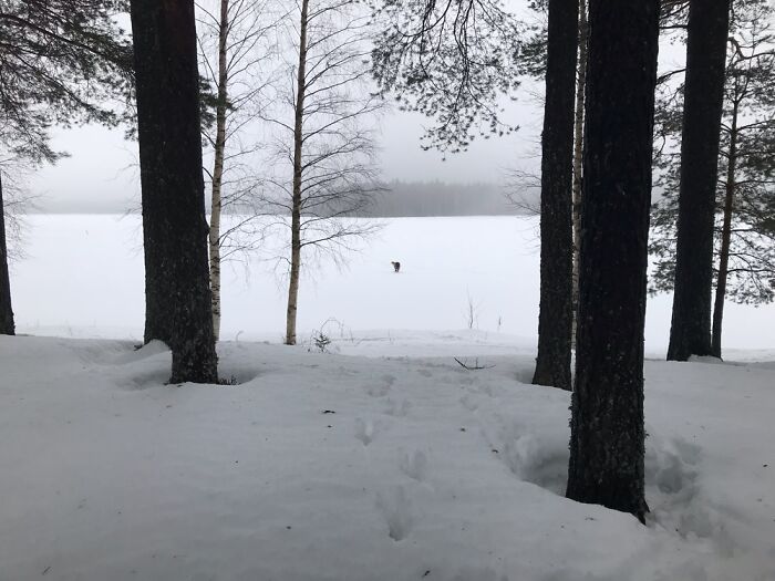 Hey Pandas, Post The Last Photo On Your Camera Roll (Closed) Hey Pandas, Post The Last Photo On Your Camera Roll (Closed)