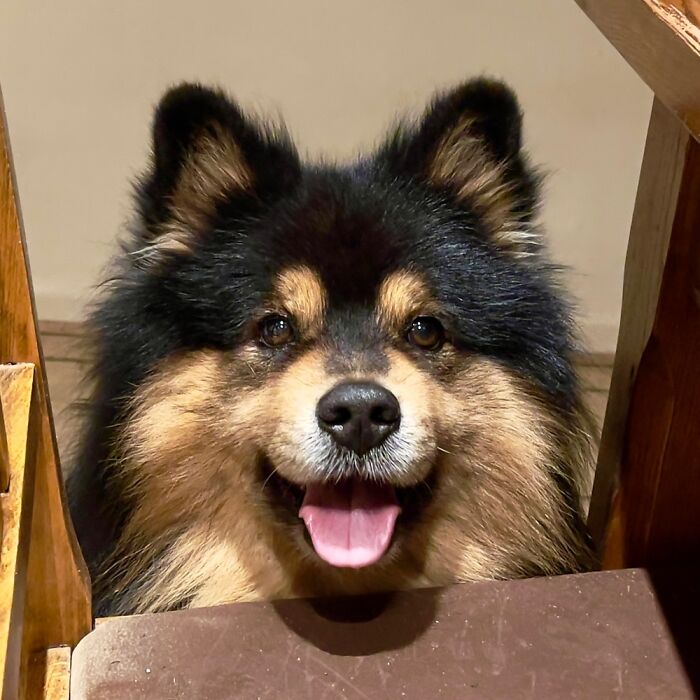 Hey Pandas, Post The Last Photo On Your Camera Roll (Closed) Hey Pandas, Post The Last Photo On Your Camera Roll (Closed)