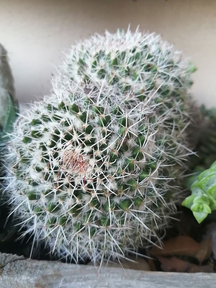 Hey Pandas, Post The Last Photo On Your Camera Roll (Closed) Hey Pandas, Post The Last Photo On Your Camera Roll (Closed)