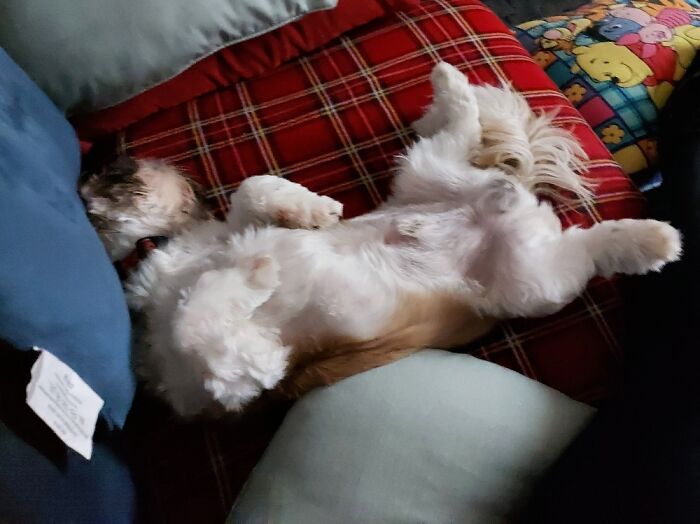 Hey Pandas, Post The Last Photo On Your Camera Roll (Closed) Hey Pandas, Post The Last Photo On Your Camera Roll (Closed)