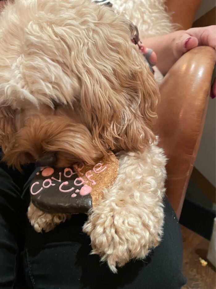 Hey Pandas, Post The Last Photo On Your Camera Roll (Closed) Hey Pandas, Post The Last Photo On Your Camera Roll (Closed)