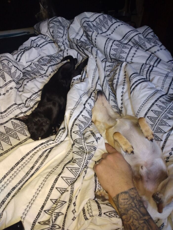 Hey Pandas, Post The Last Photo On Your Camera Roll (Closed) Hey Pandas, Post The Last Photo On Your Camera Roll (Closed)