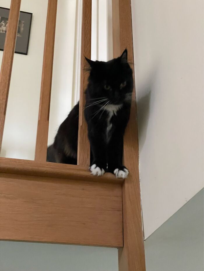 Hey Pandas, Post The Last Photo On Your Camera Roll (Closed) Hey Pandas, Post The Last Photo On Your Camera Roll (Closed)