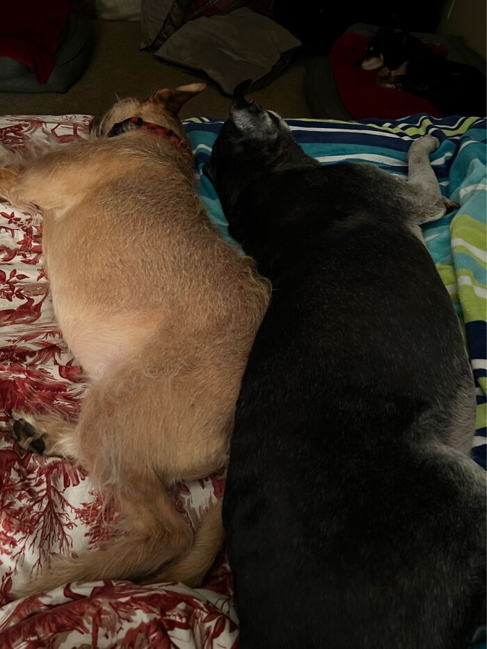 Hey Pandas, Post The Last Photo On Your Camera Roll (Closed) Hey Pandas, Post The Last Photo On Your Camera Roll (Closed)