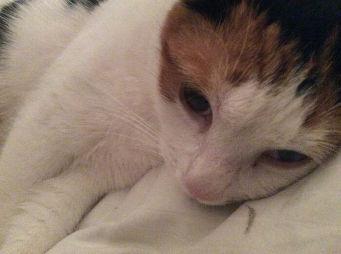 Hey Pandas, Post The Last Photo On Your Camera Roll (Closed) Hey Pandas, Post The Last Photo On Your Camera Roll (Closed)