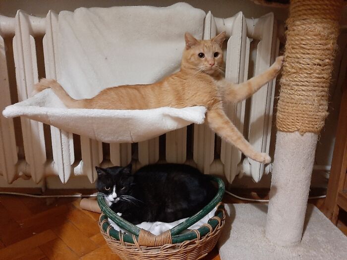 Hey Pandas, Post The Last Photo On Your Camera Roll (Closed) Hey Pandas, Post The Last Photo On Your Camera Roll (Closed)