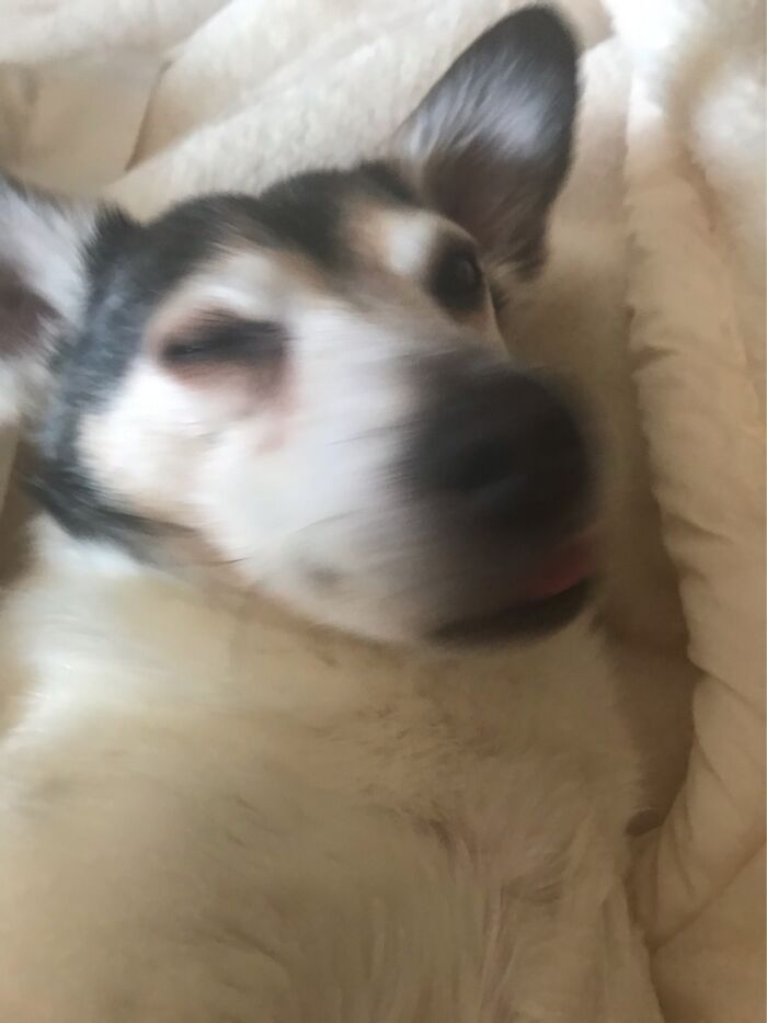 Hey Pandas, Post The Last Photo On Your Camera Roll (Closed) Hey Pandas, Post The Last Photo On Your Camera Roll (Closed)