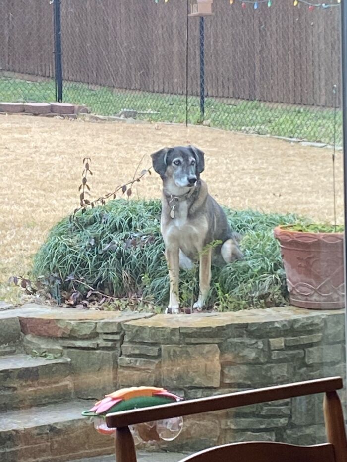 Hey Pandas, Post The Last Photo On Your Camera Roll (Closed) Hey Pandas, Post The Last Photo On Your Camera Roll (Closed)