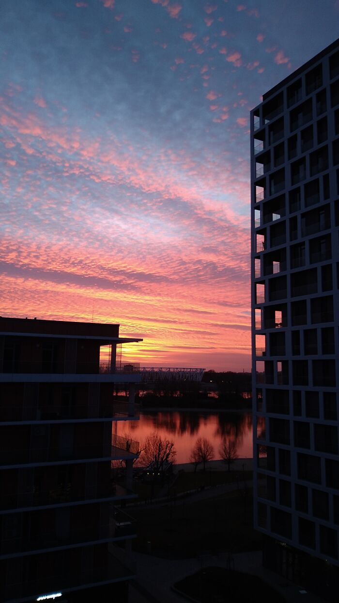 Hey Pandas, Post The Last Photo On Your Camera Roll (Closed) Hey Pandas, Post The Last Photo On Your Camera Roll (Closed)