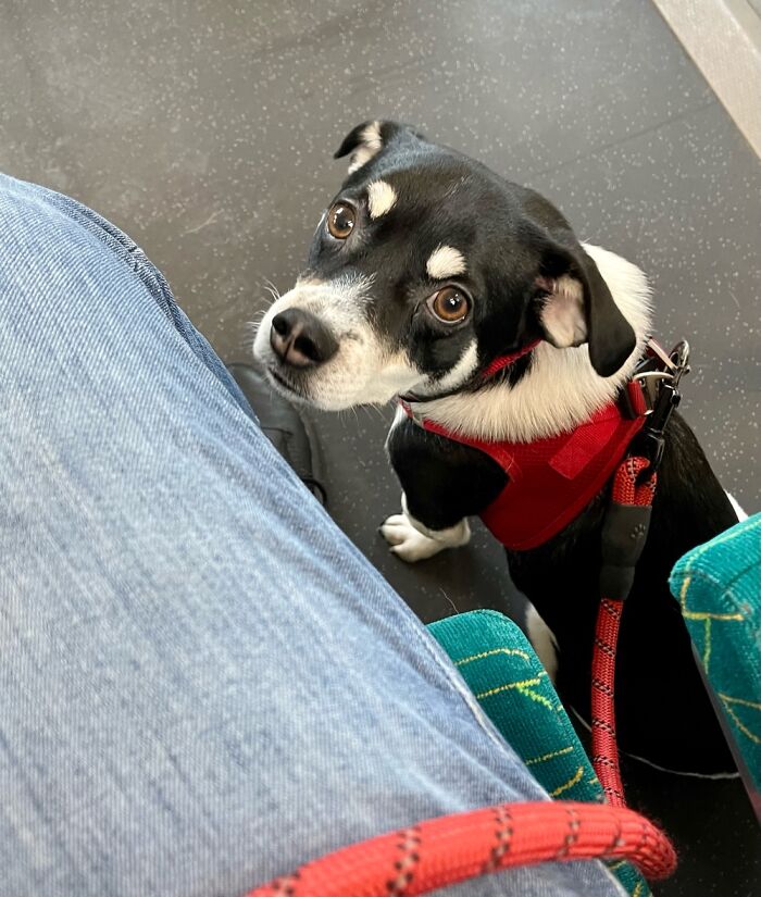 Hey Pandas, Post The Last Photo On Your Camera Roll (Closed) Hey Pandas, Post The Last Photo On Your Camera Roll (Closed)