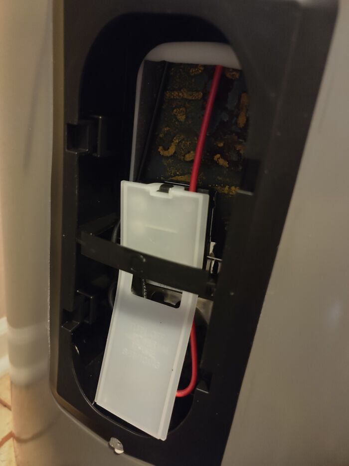 Hey Pandas, Post The Last Photo On Your Camera Roll (Closed) Hey Pandas, Post The Last Photo On Your Camera Roll (Closed)