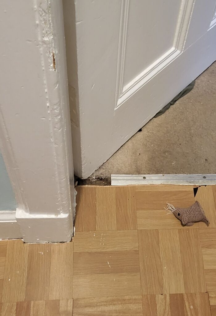 Hey Pandas, Post The Last Photo On Your Camera Roll (Closed) Hey Pandas, Post The Last Photo On Your Camera Roll (Closed)