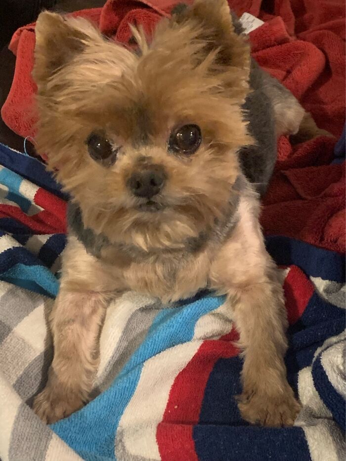 Hey Pandas, Post The Last Photo On Your Camera Roll (Closed) Hey Pandas, Post The Last Photo On Your Camera Roll (Closed)