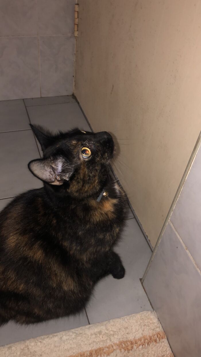 Hey Pandas, Post The Last Photo On Your Camera Roll (Closed) Hey Pandas, Post The Last Photo On Your Camera Roll (Closed)