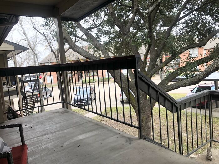 Hey Pandas, Post The Last Photo On Your Camera Roll (Closed) Hey Pandas, Post The Last Photo On Your Camera Roll (Closed)