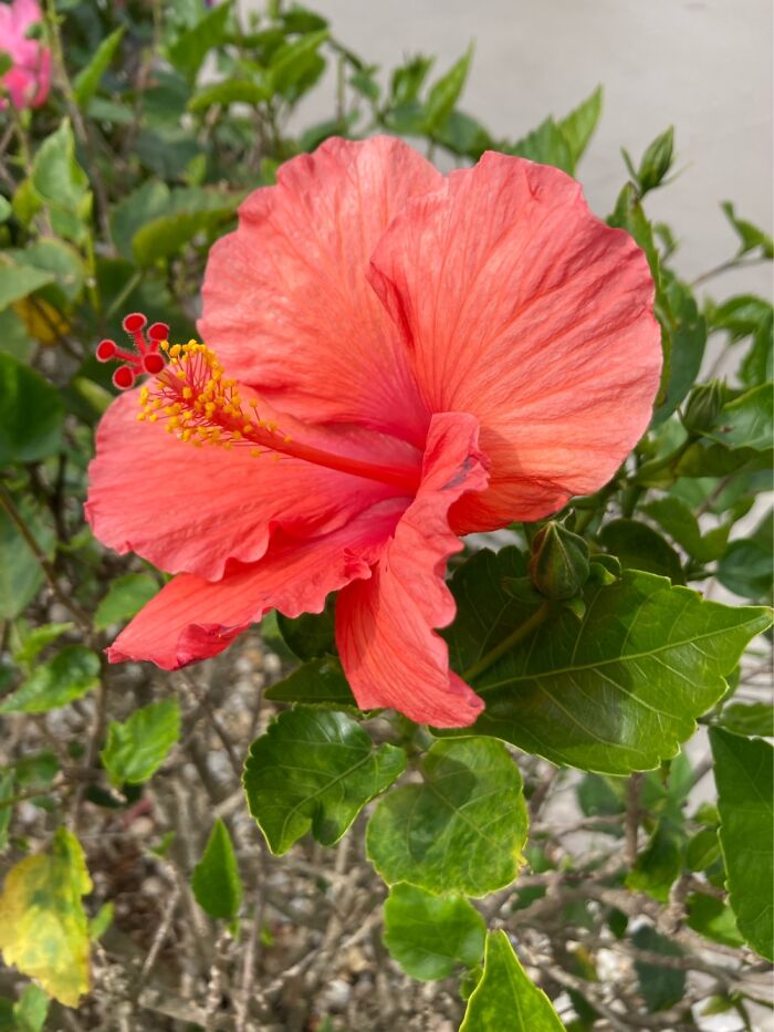 Hey Pandas, Post The Last Photo On Your Camera Roll (Closed) Hey Pandas, Post The Last Photo On Your Camera Roll (Closed)