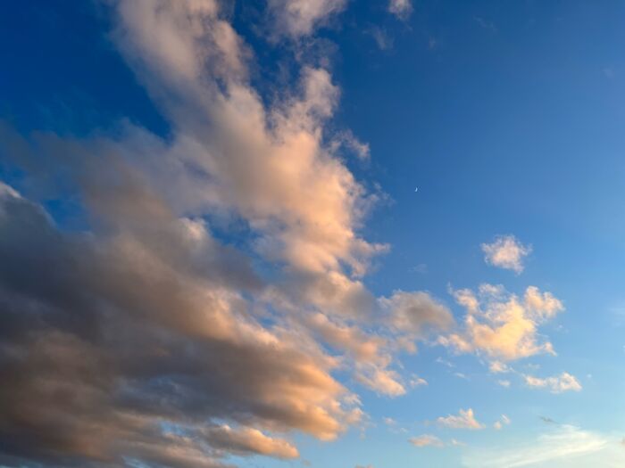 Hey Pandas, Post The Last Photo On Your Camera Roll (Closed) Hey Pandas, Post The Last Photo On Your Camera Roll (Closed)