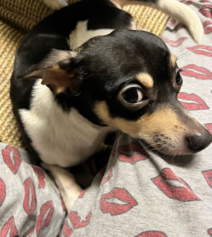 Hey Pandas, Post The Last Photo On Your Camera Roll (Closed) Hey Pandas, Post The Last Photo On Your Camera Roll (Closed)