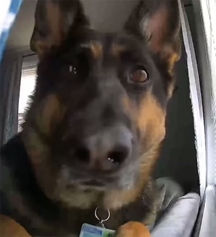 30 People Who Have Security Cameras Are Sharing The Worst Things They’ve Caught On Them