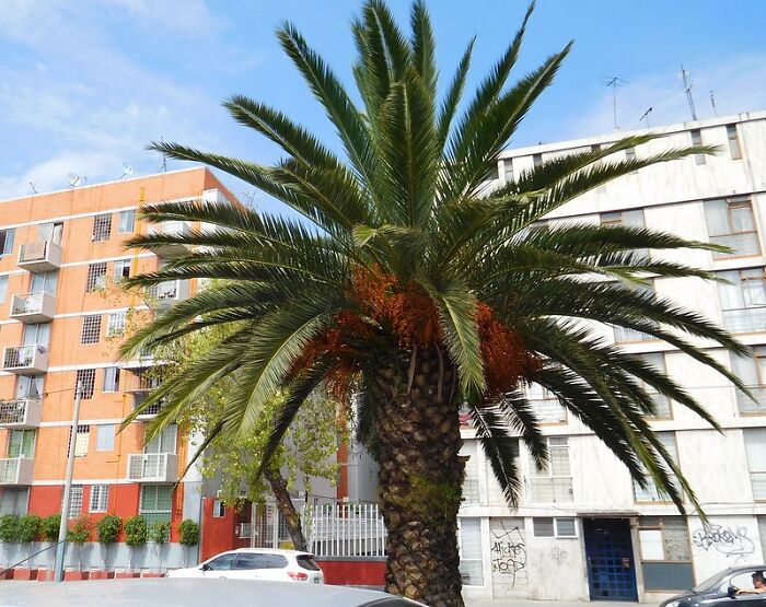 35 Spoiled Folks Online Share Their Moments Of Realizing How Different The Real World Really Is 35 Spoiled Folks Online Share Their Moments Of Realizing How Different The Real World Really Is