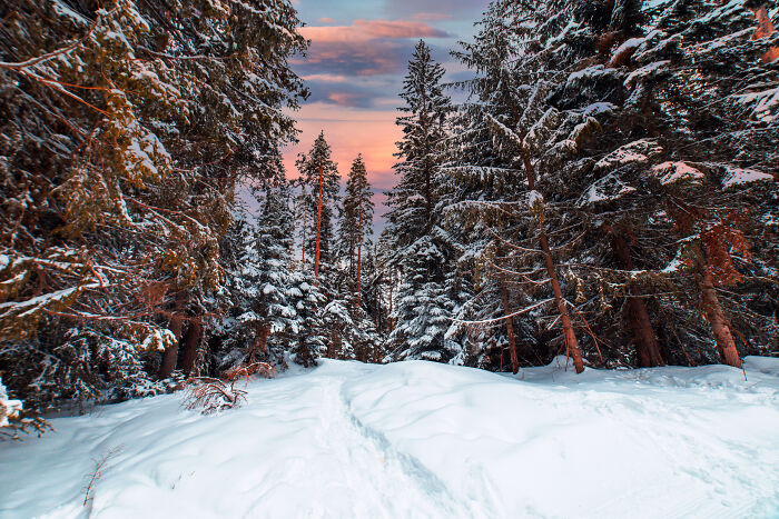 Photographs Of Stunning Ski Slopes In Borovets, Bulgaria (11 Pics)