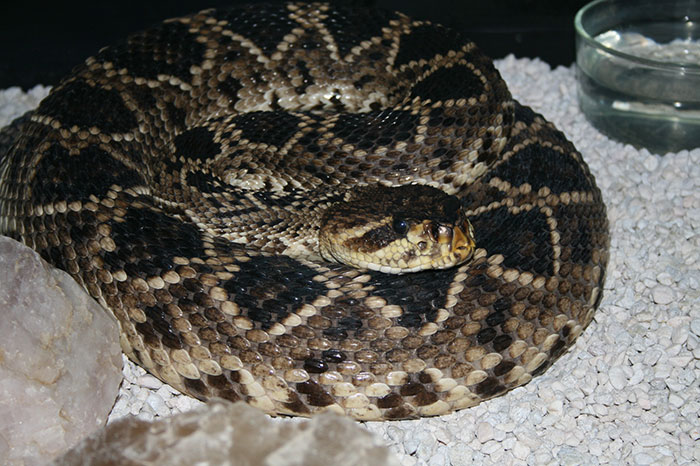 30 Potentially Life-Saving Tips If You Ever Find Yourself In A Dangerous Situation, As Shared By This Woman On TikTok 30 Potentially Life-Saving Tips If You Ever Find Yourself In A Dangerous Situation, As Shared By This Woman On TikTok