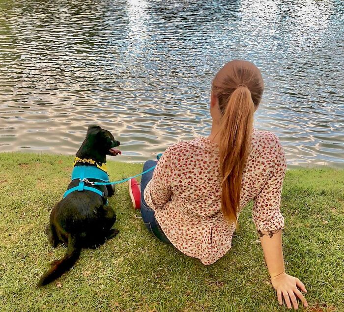 Meet Odin, The Dog Who Lost Part Of His Snout In An Accident And Still Found Kindness In His Owner Who Adopted Him After He Spent 3 Years In A Shelter Meet Odin, The Dog Who Lost Part Of His Snout In An Accident And Still Found Kindness In His Owner Who Adopted Him After He Spent 3 Years In A Shelter