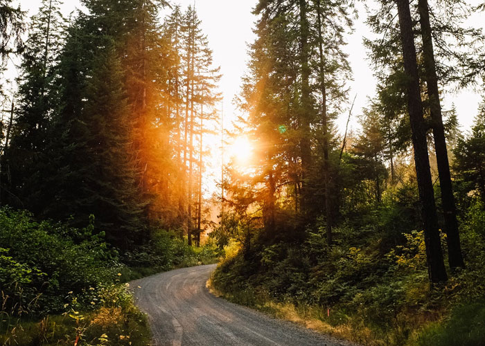 911 Operators Share The Dumbest Non-Emergency Calls They’ve Ever Received 911 Operators Share The Dumbest Non-Emergency Calls They’ve Ever Received